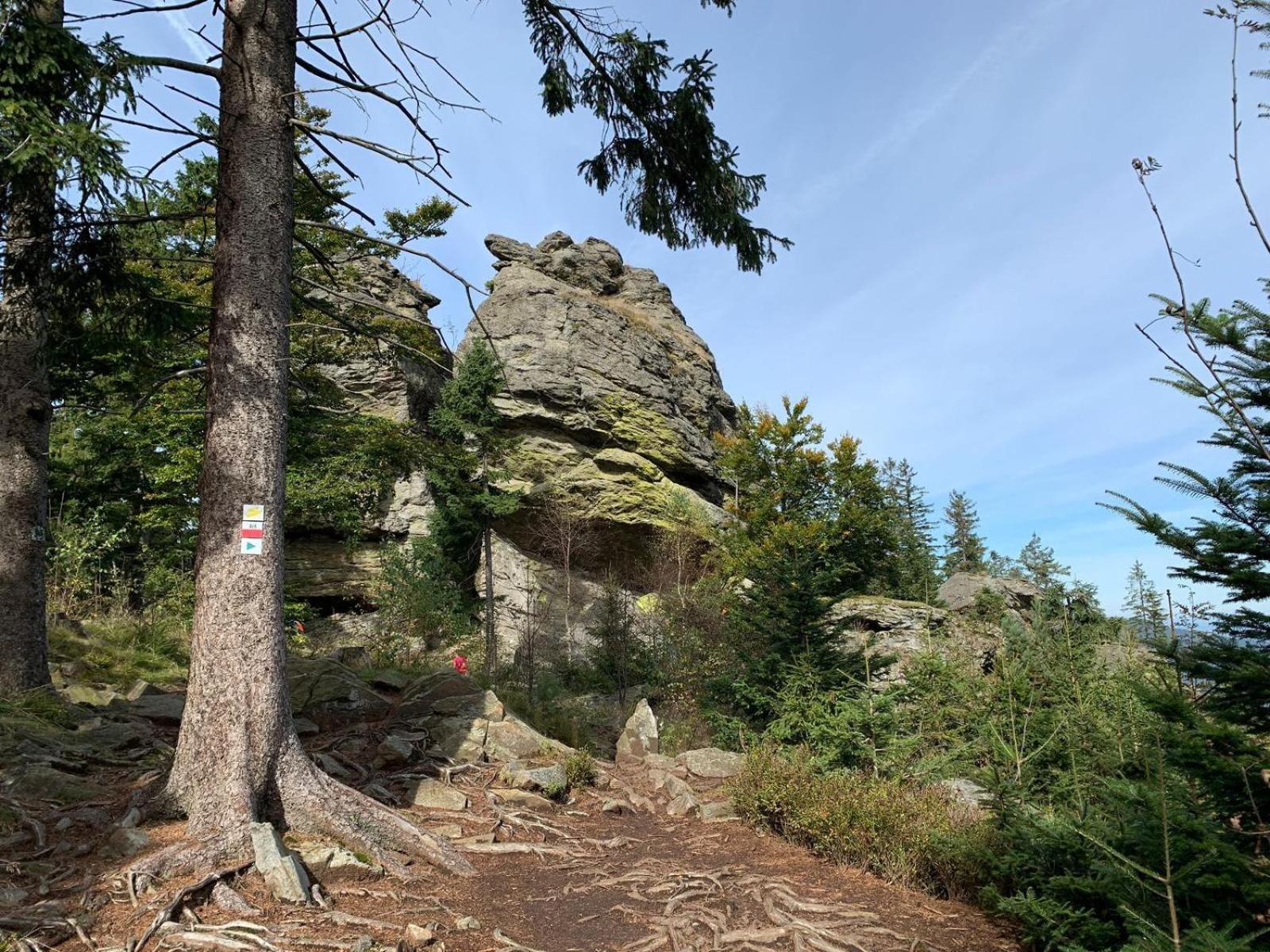 Fewo H.Reusswig Arrach Extérieur photo